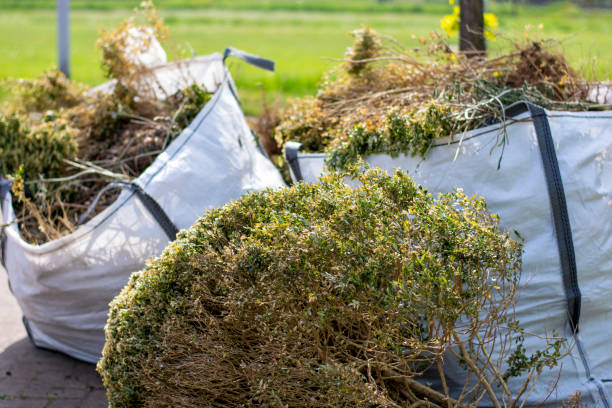 Best Local Junk Hauling  in Picacho Hills, NM